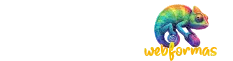 Feito pela WebFormas - Agência de Marketing Digital em SP